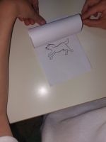 Flip_book_con_due_pagine_6